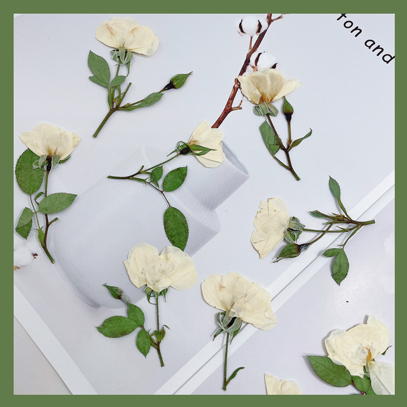 12 sztuk, naturalne białe różo – Wedding Card Box recenzja i cena
